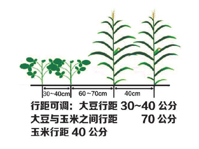 戳我试试
